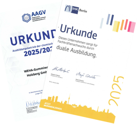 AUSBILDUNG NEUER FACHKRÄFTE IM DUALEN SYSTEM